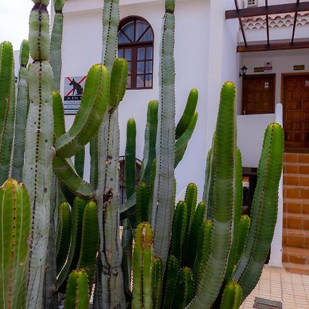 Las Bouganvillas 1 Bed Apartment In Costa Adeje Extérieur photo